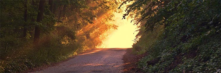 En chemin vers la lumière